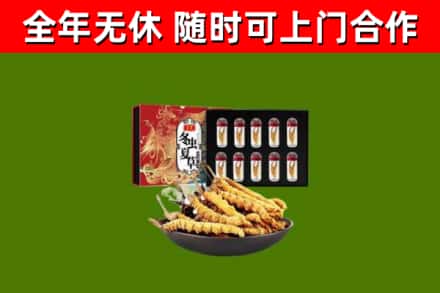 平凉回收冬虫夏草价格